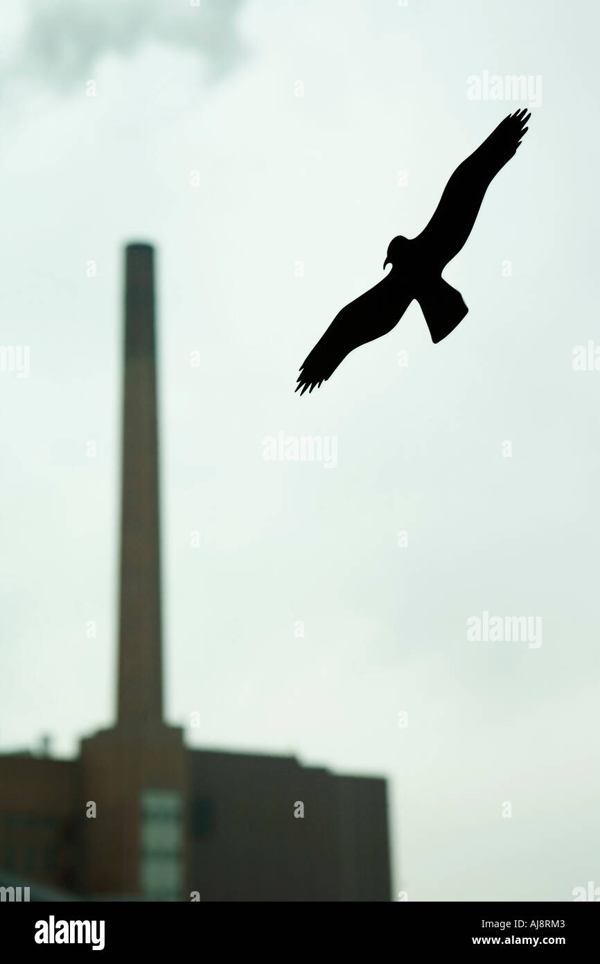 Silhouette di uccello sulla finestra con fumaiolo in background Foto Stock