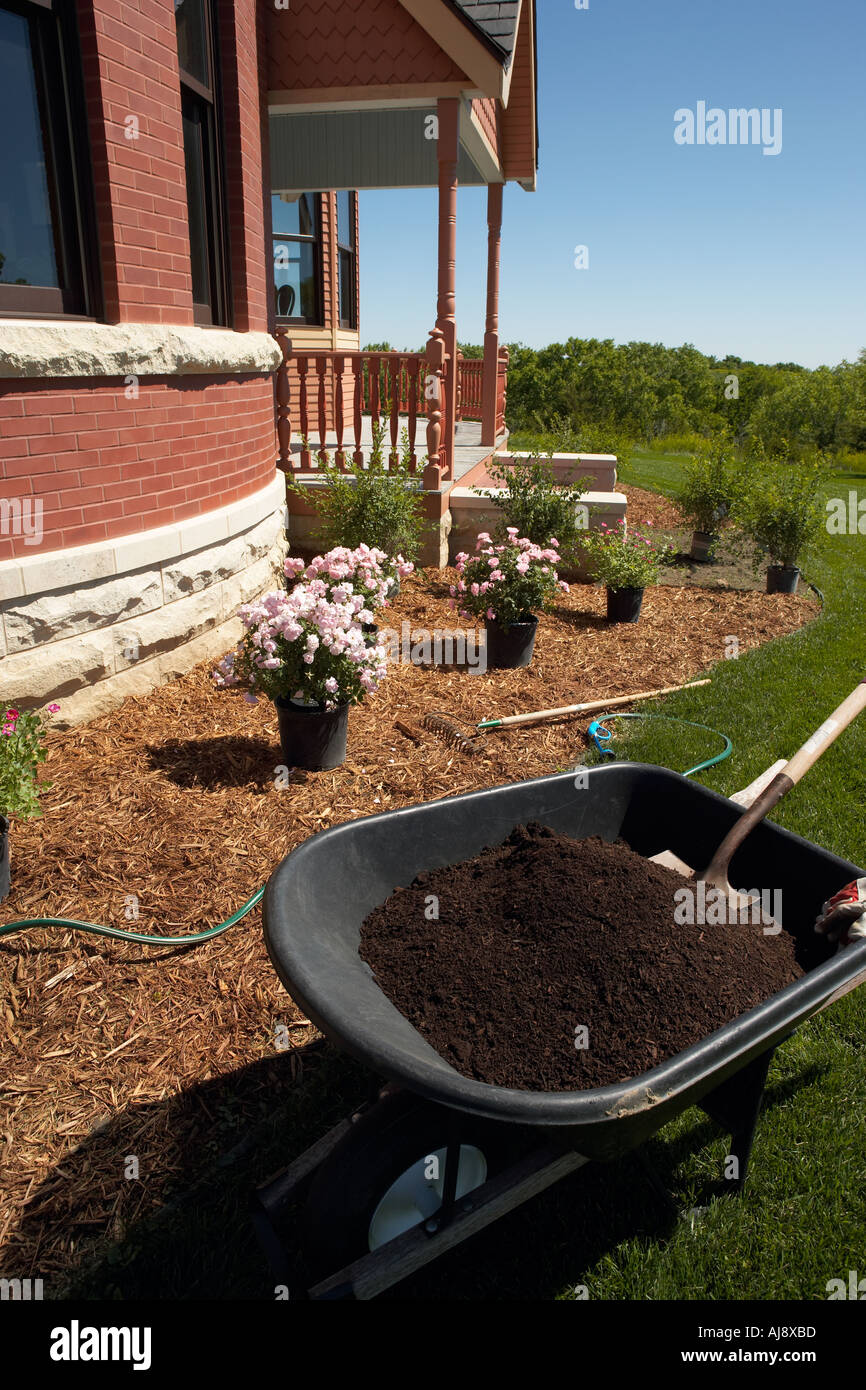 La piantumazione di siepi 6 Foto Stock