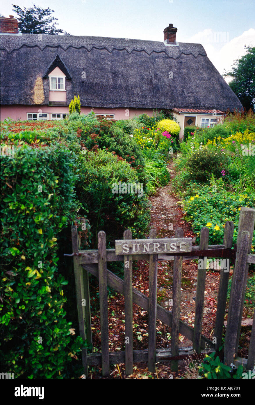Vecchio inglese con tetto di paglia di contea di Suffolk in Inghilterra Foto Stock