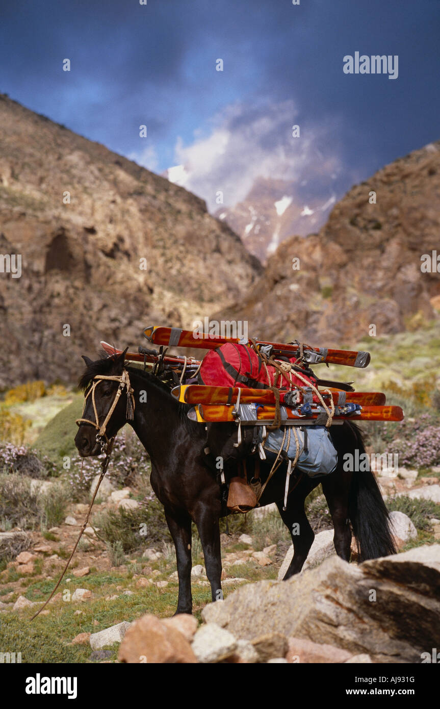 Sci e confezioni a cavallo Foto Stock