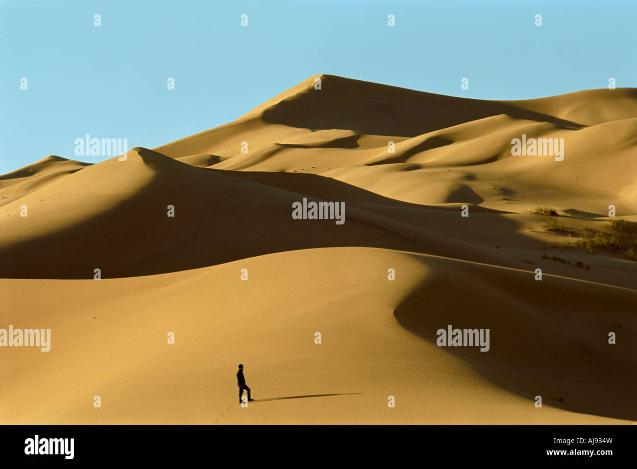 Un turista permanente sulla Khongoryn Els duna di sabbia. Sud Il deserto del Gobi. Mongolia Foto Stock