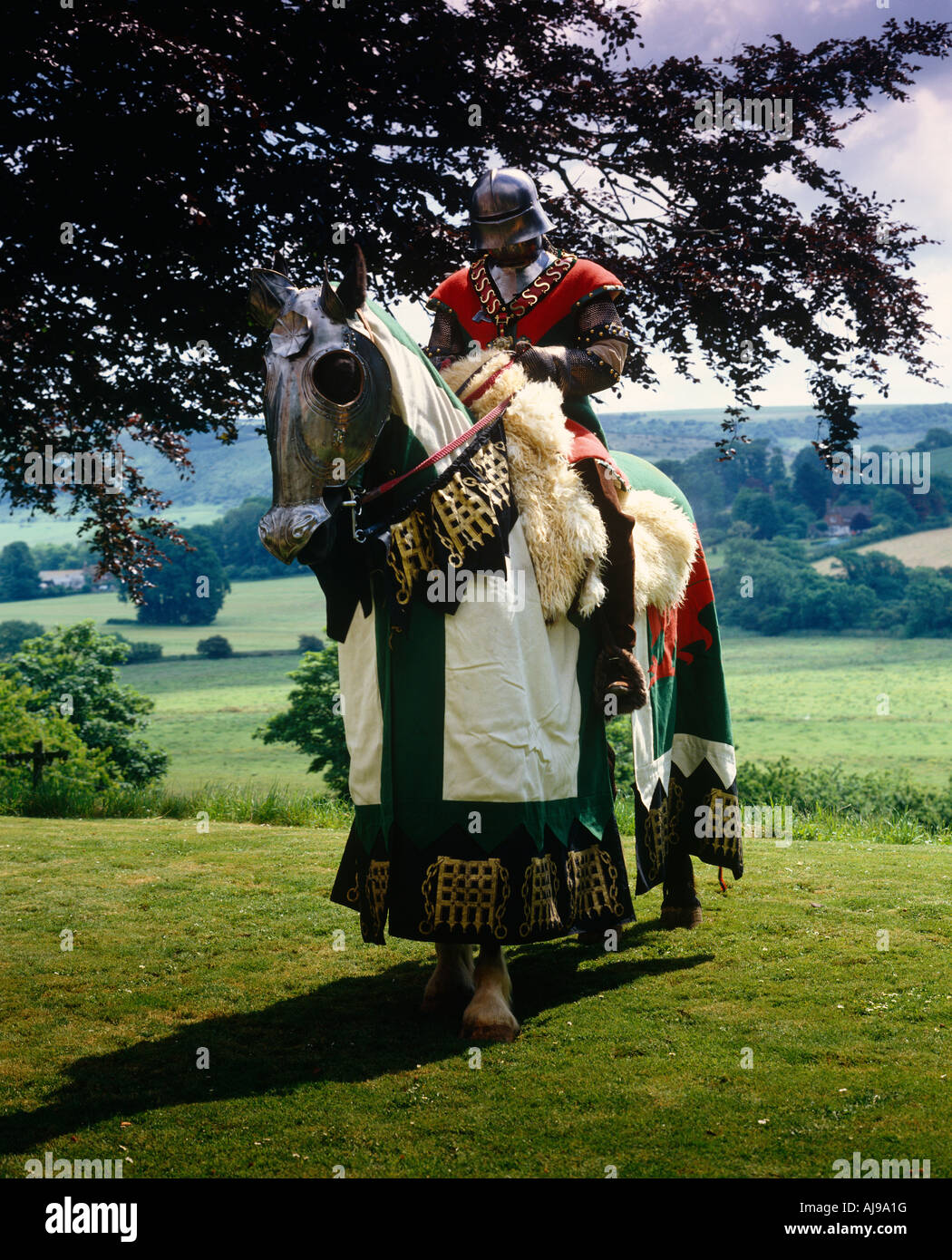 Battaglia di Bosworth - Henry Tudor Foto Stock