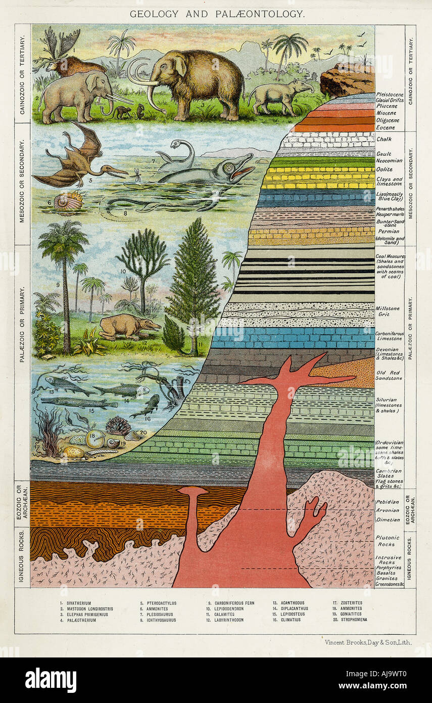 "Geologia e Paleontologia', C1880. Artista: sconosciuto Foto Stock