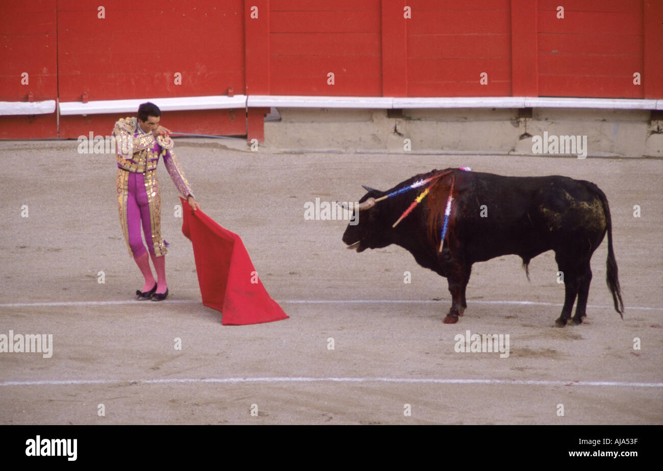 Il matador mira la spada tra i tori scapole nel suo cuore, noto come il momento della verità. La corrida in Spagna Foto Stock