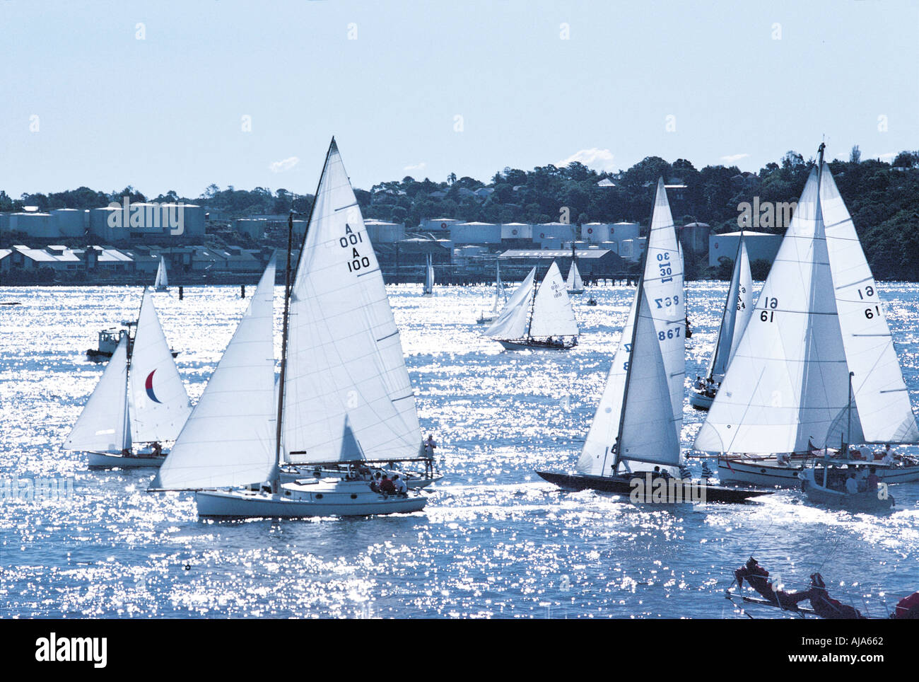 Barche a vela Foto Stock
