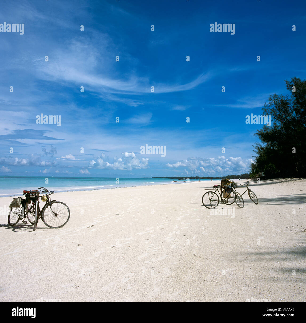 Le biciclette sulla spiaggia Zanzibar Tanzania Africa Orientale ore diurne Foto Stock