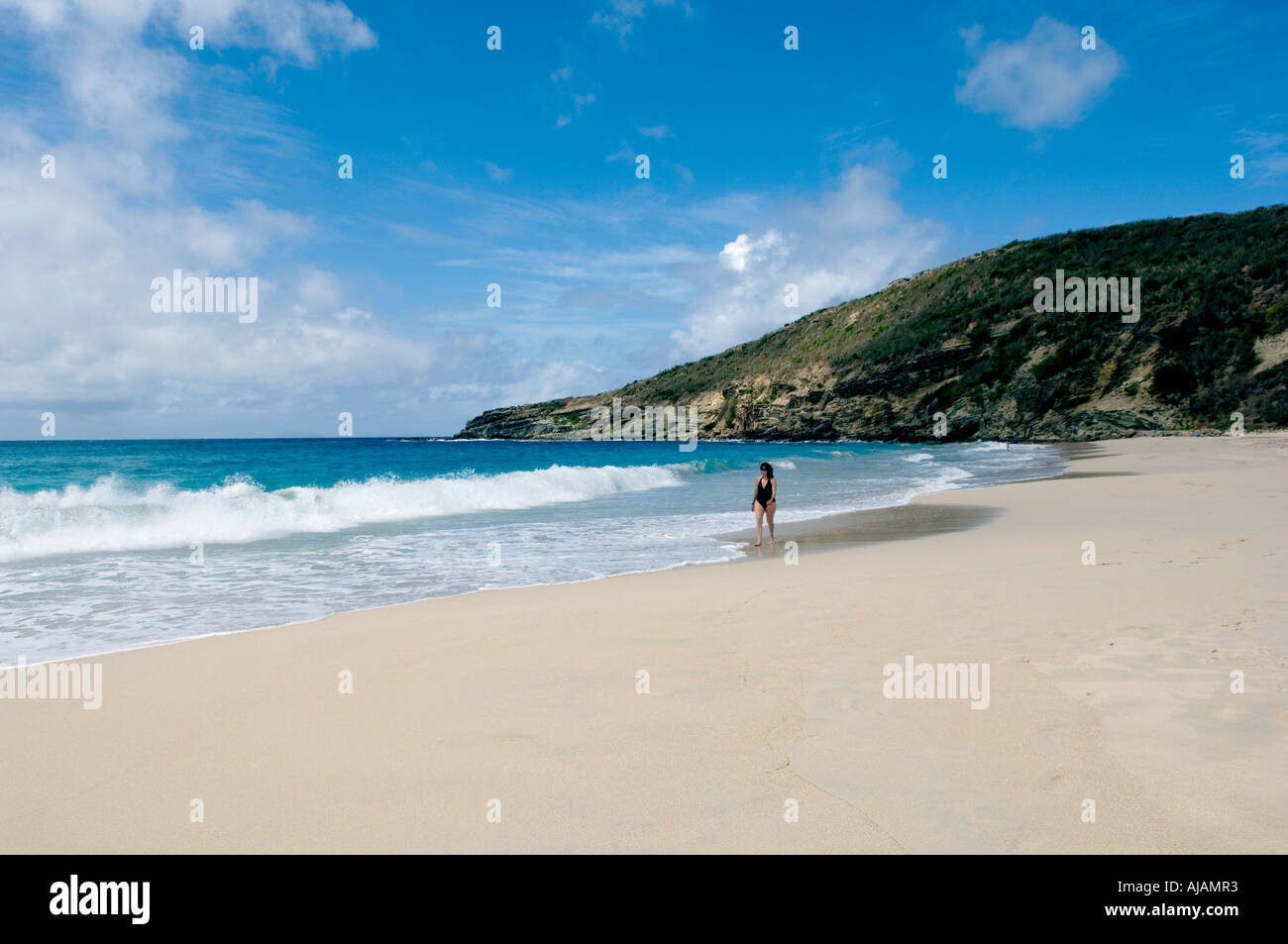 San Bartolomeo Indie occidentali francesi quasi deserta spiaggia salina chiamato anche Anse de Grande Soluzione Salina Foto Stock