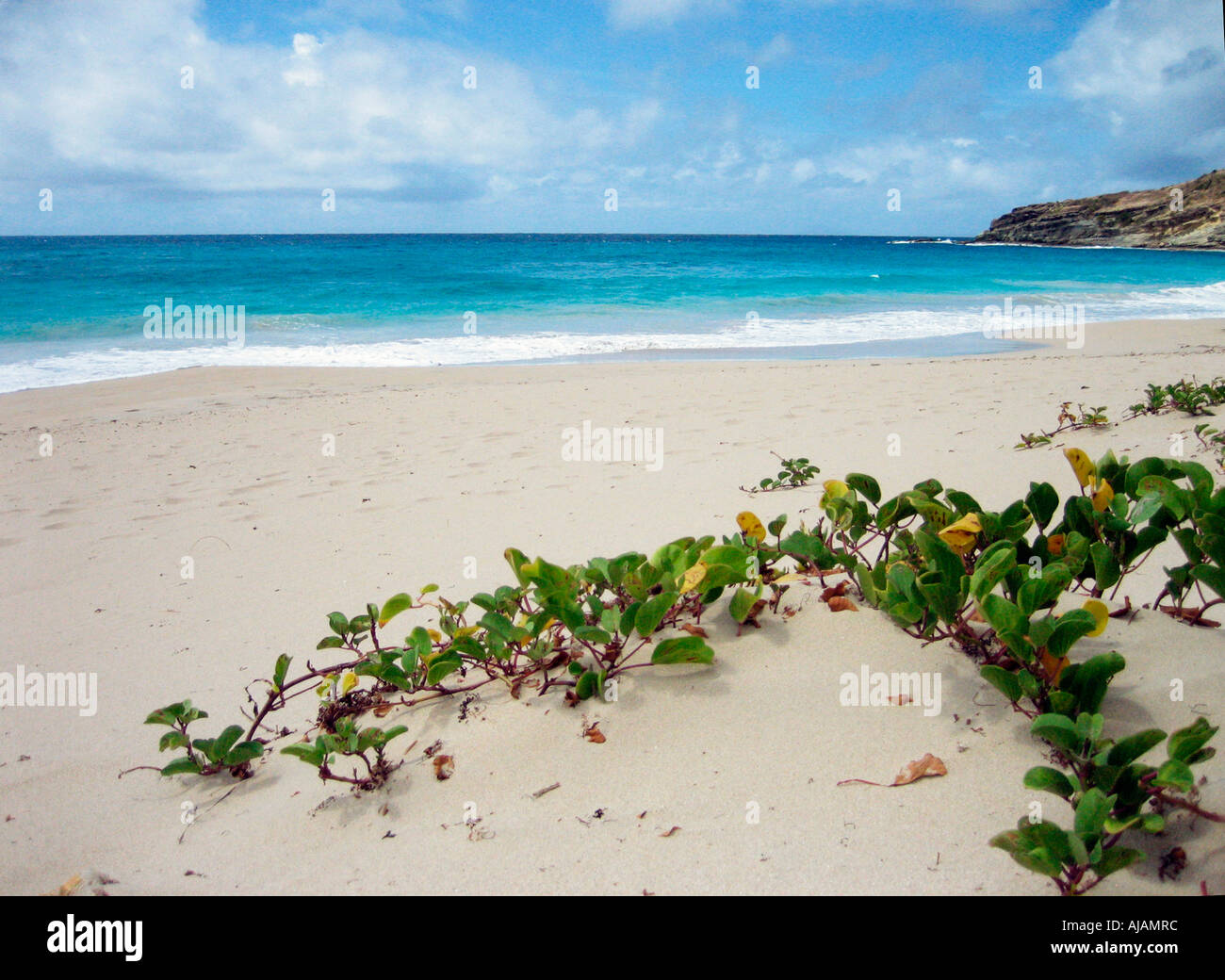 San Bartolomeo Indie occidentali francesi quasi deserta spiaggia salina chiamato anche Anse de Grande Soluzione Salina Foto Stock