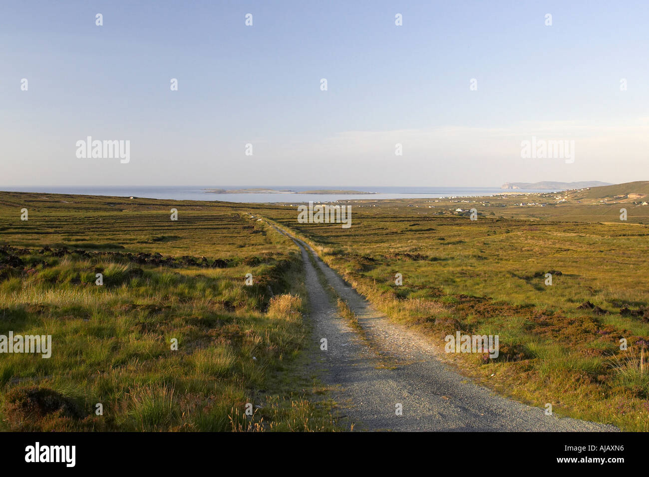 Isolati a singolo via strada sulla torbiera di scendere al mare Gweedore County Donegal Repubblica di Irlanda Foto Stock