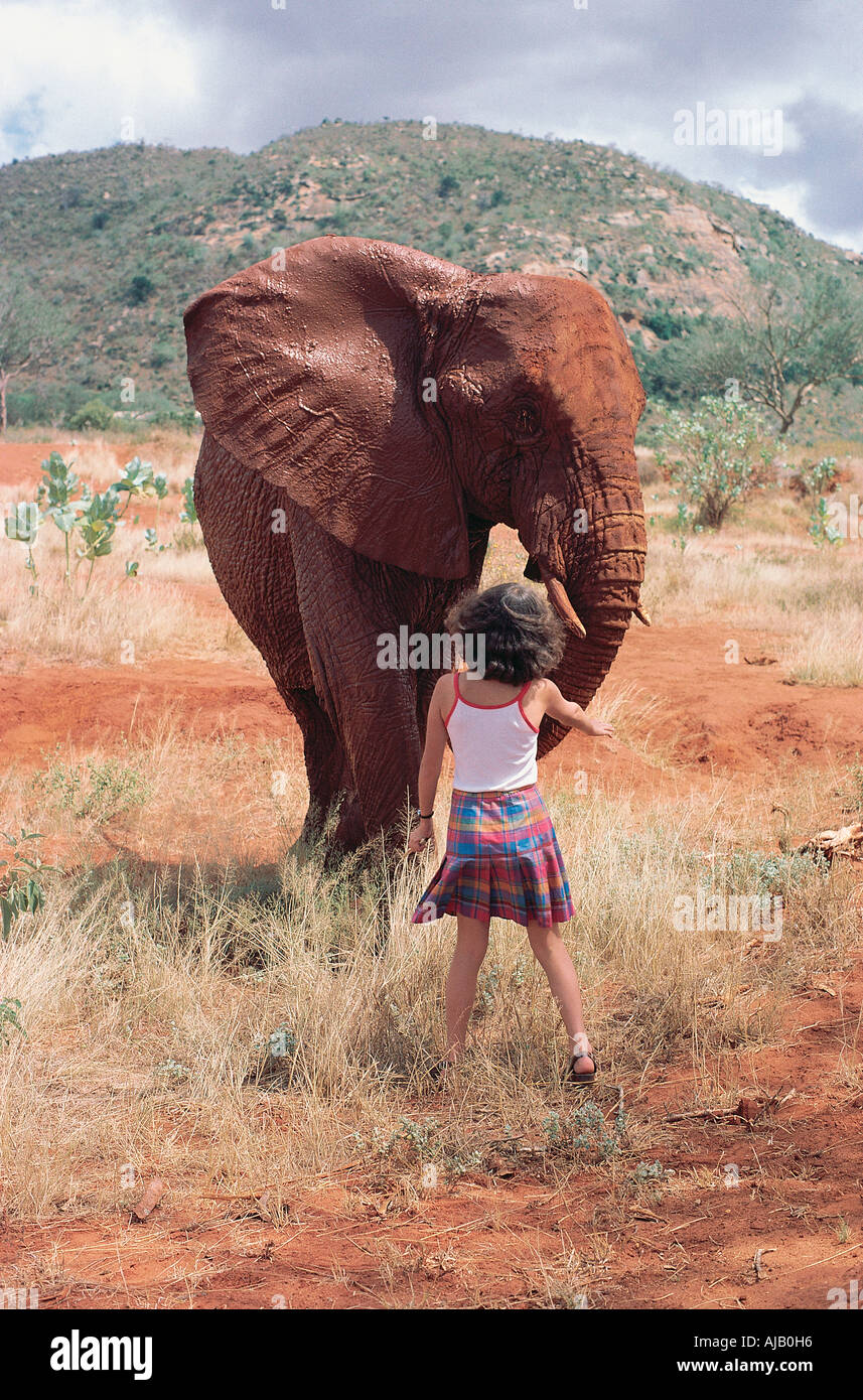Giovane ragazza bianco riunione un elefante orfani nel parco nazionale orientale di Tsavo Kenya Africa orientale Foto Stock