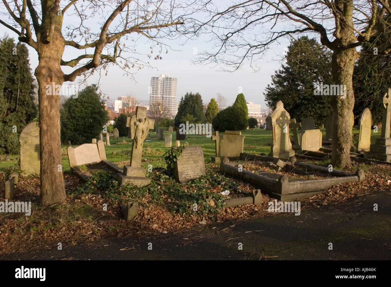 Radnor Street cimitero in Swindon ora un carattere locale riserva Foto Stock