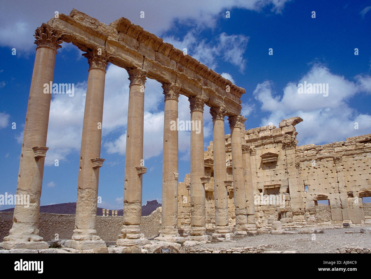 PALMYRA TADMOR SIRIA Asia Siria Foto Stock