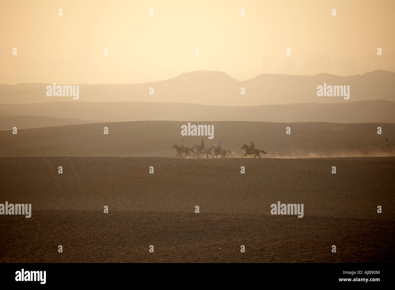 La popolazione locale di equitazione cavalli al galoppo nel deserto pietroso in inizio di mattina di sole nebuloso Giza Cairo Egitto Africa Foto Stock