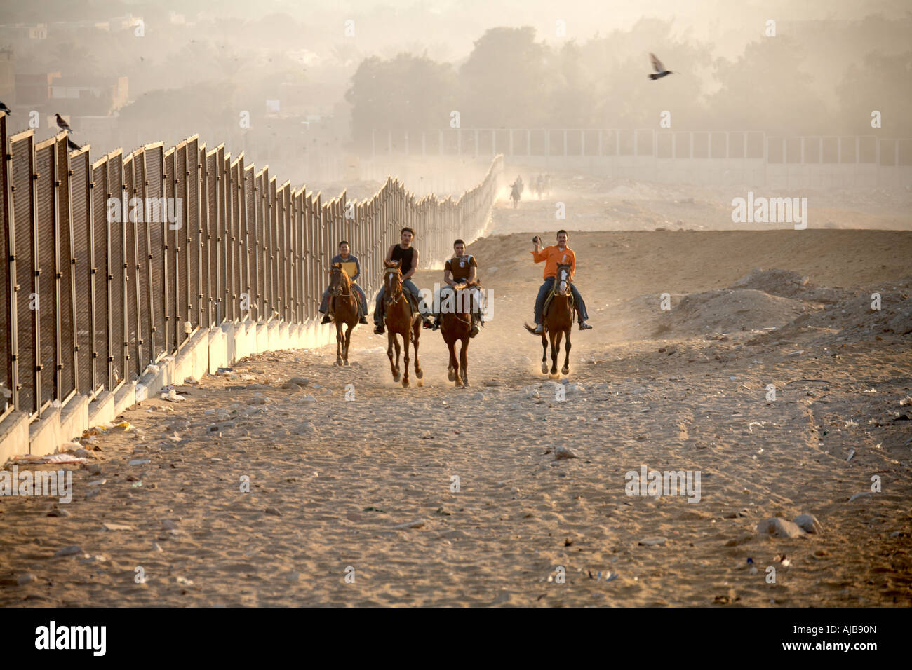 La popolazione locale di equitazione cavalli al galoppo nel deserto pietroso dal recinto di sicurezza intorno al complesso delle Piramidi in inizio di mattina di sole nebuloso G Foto Stock