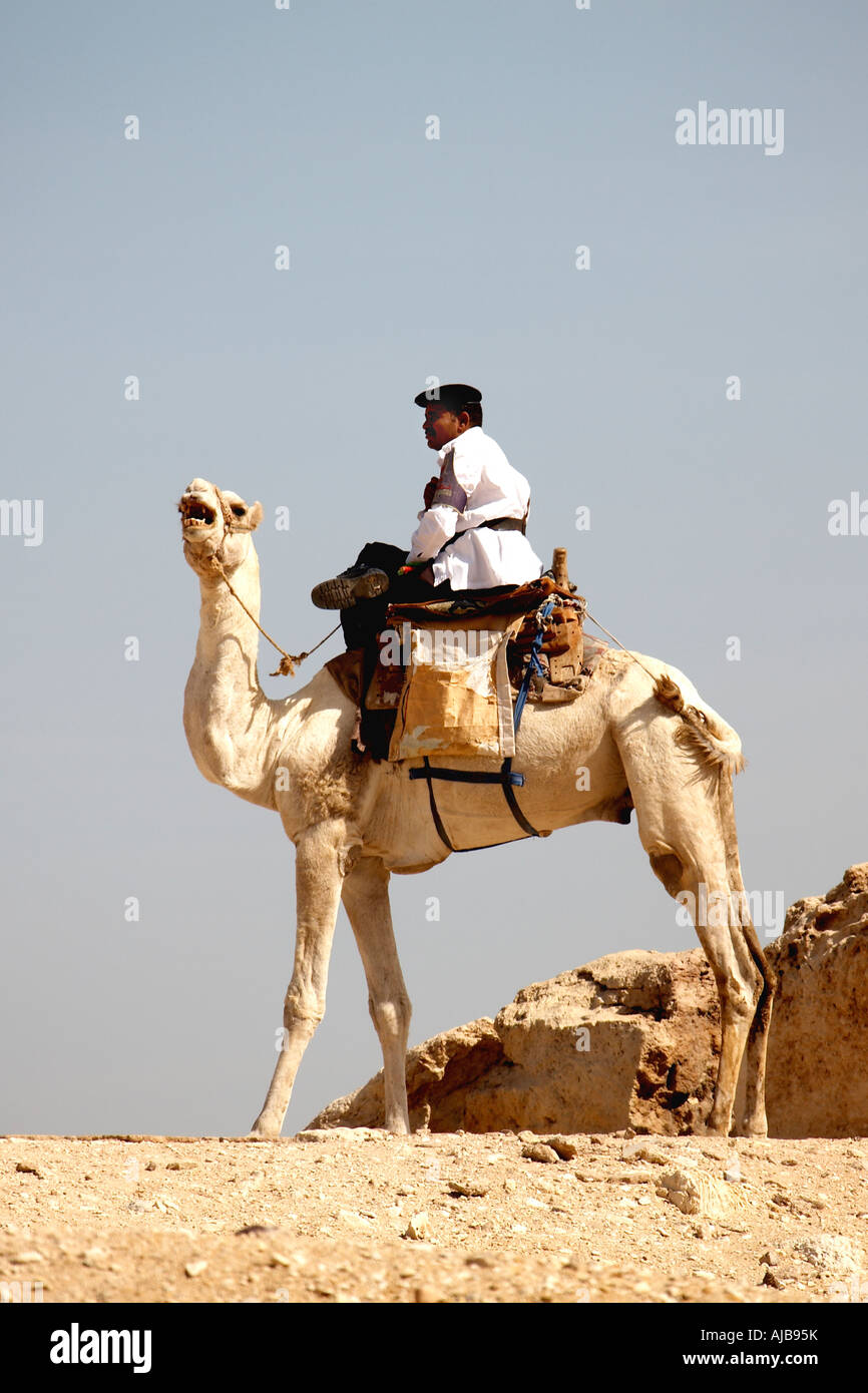 Turismo egiziano poliziotto polizia seduto su un cammello di guardia complesso di piramidi di Giza Cairo Egitto Africa Foto Stock