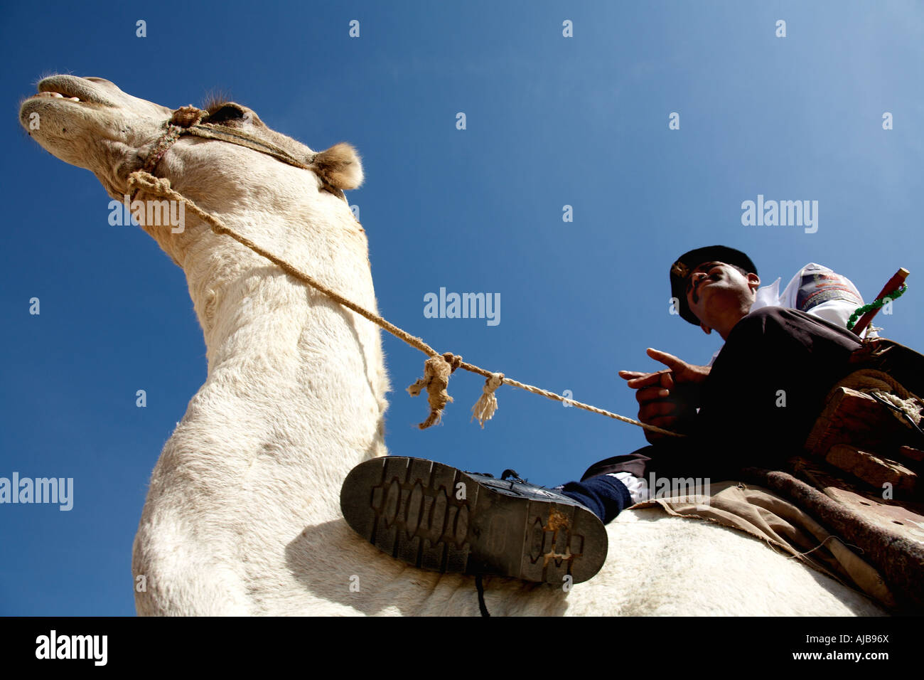 Turismo egiziano poliziotto polizia seduto su un cammello di guardia complesso di piramidi di Giza Cairo Egitto Africa Foto Stock