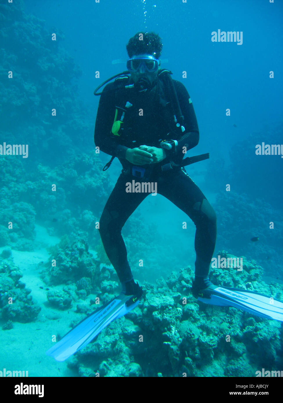 La subacquea Immagine di un subacqueo in Mar Rosso al faro sito di immersione nei pressi di Dahab Sinai Egitto Foto Stock