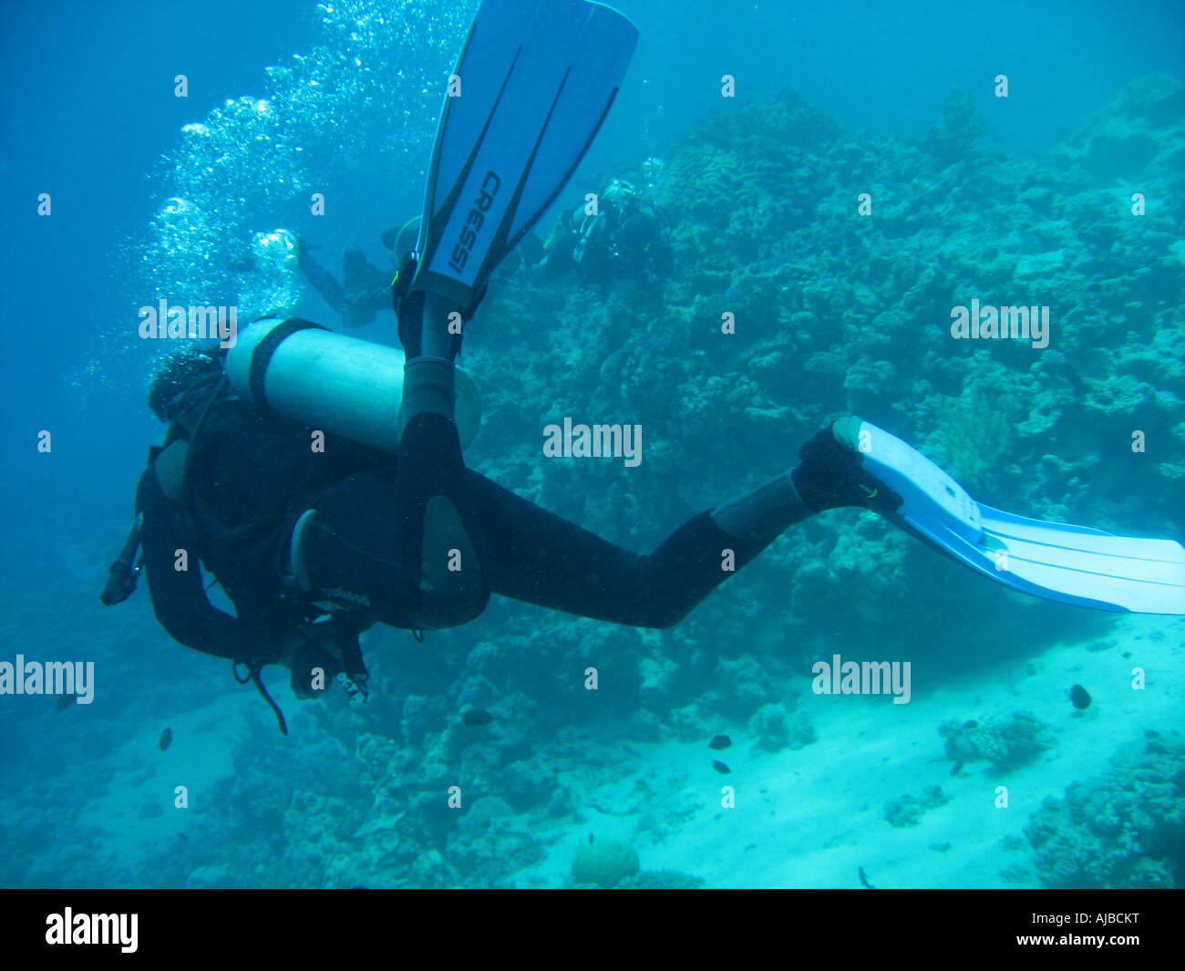 La subacquea Immagine di un subacqueo in Mar Rosso al faro sito di immersione nei pressi di Dahab Sinai Egitto Foto Stock