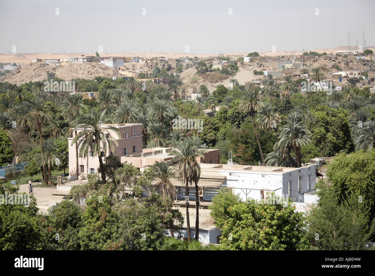 Gli edifici e le palme in Aswan superiore Egitto Sud Africa Foto Stock