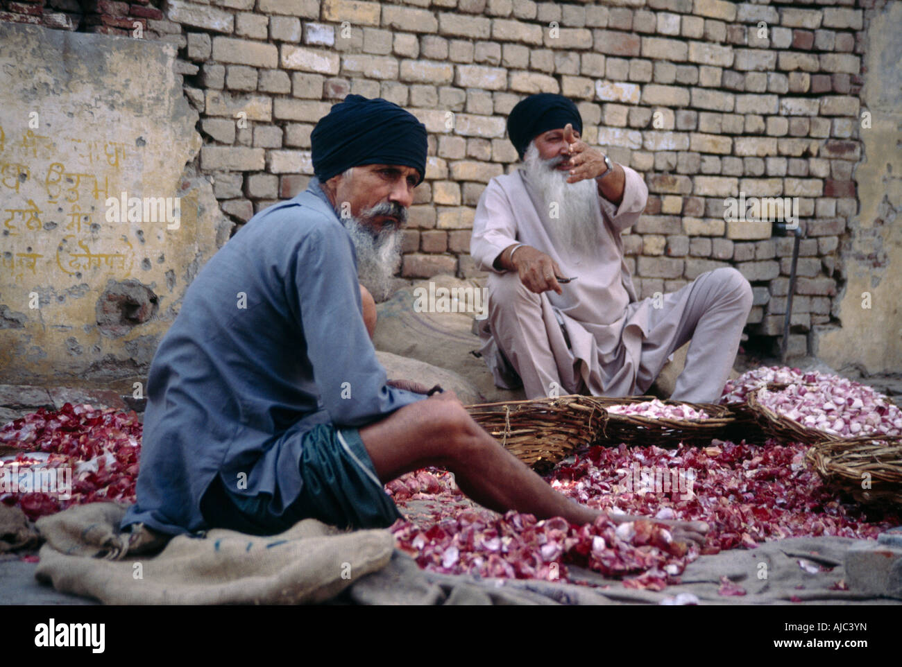 Amritsar India preparando Langar Tempio Dorato Cucina Foto Stock