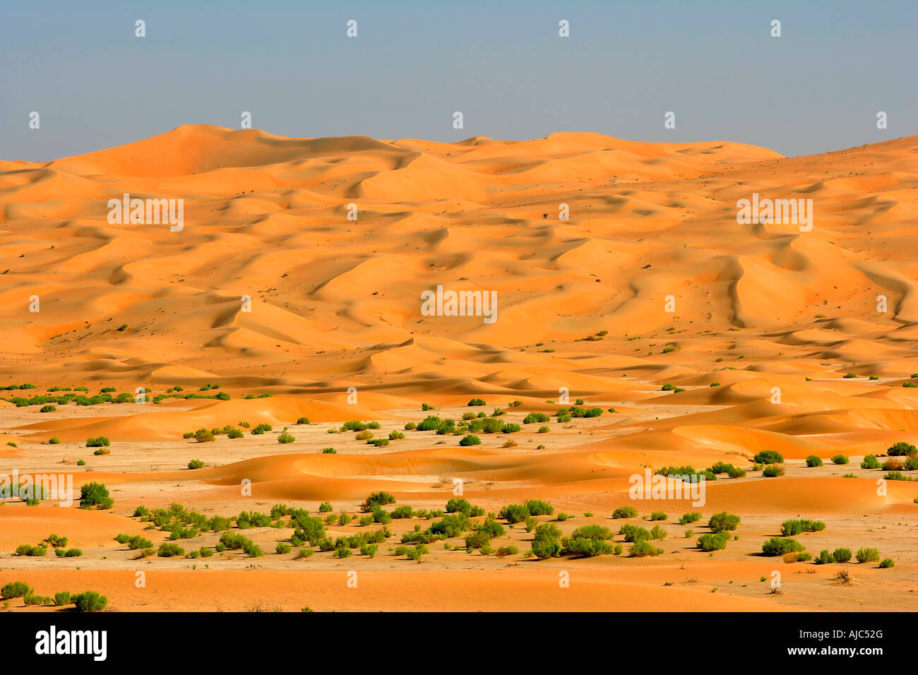 Un letto asciutto del fiume (Wadi) attraverso un campo di dune nel deserto Foto Stock