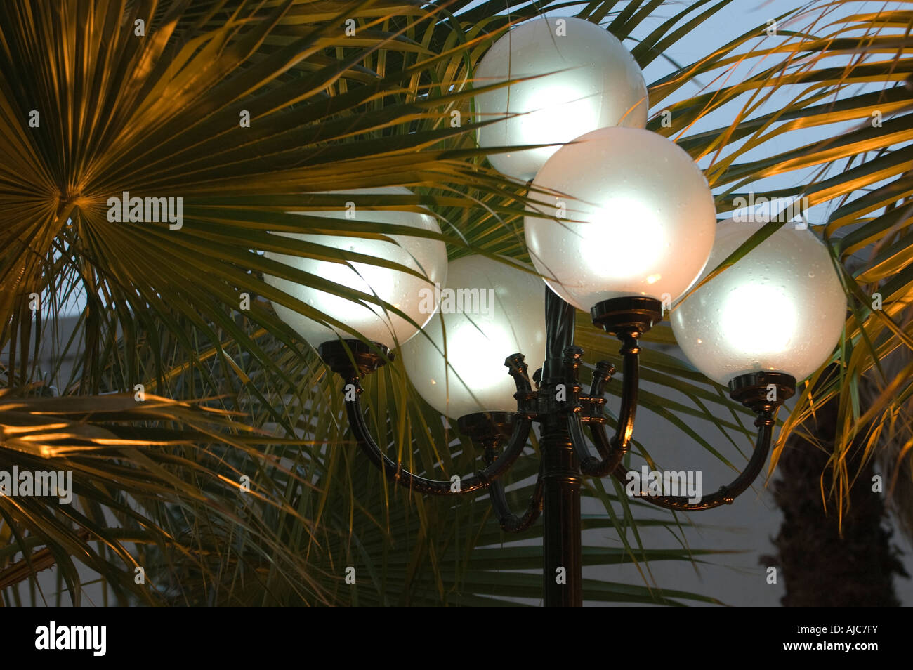 Le lampade a bulbo su ornato lampada posta tra le fronde di palme Foto Stock