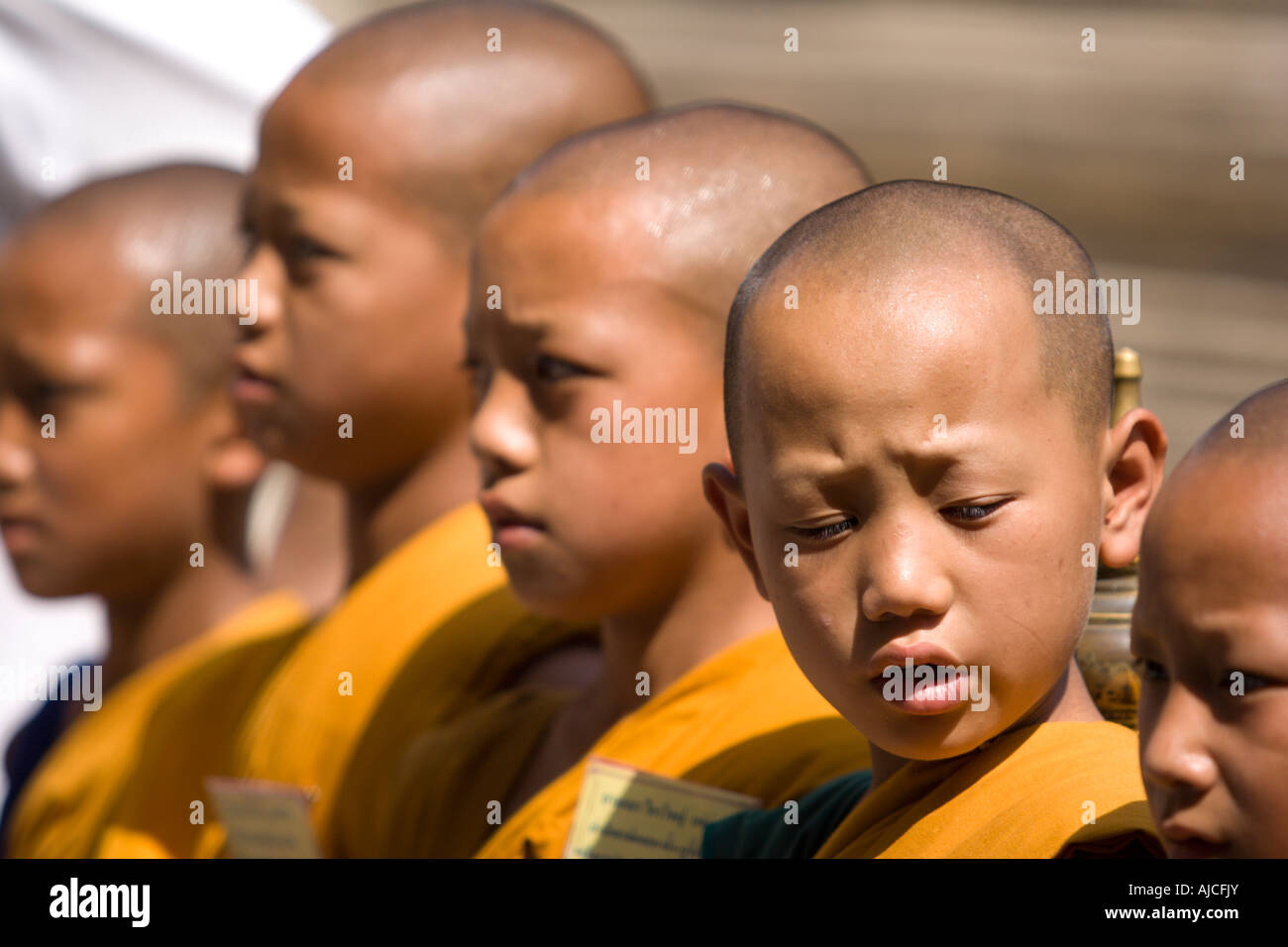I giovani monaci maschio, Thailandia Foto Stock
