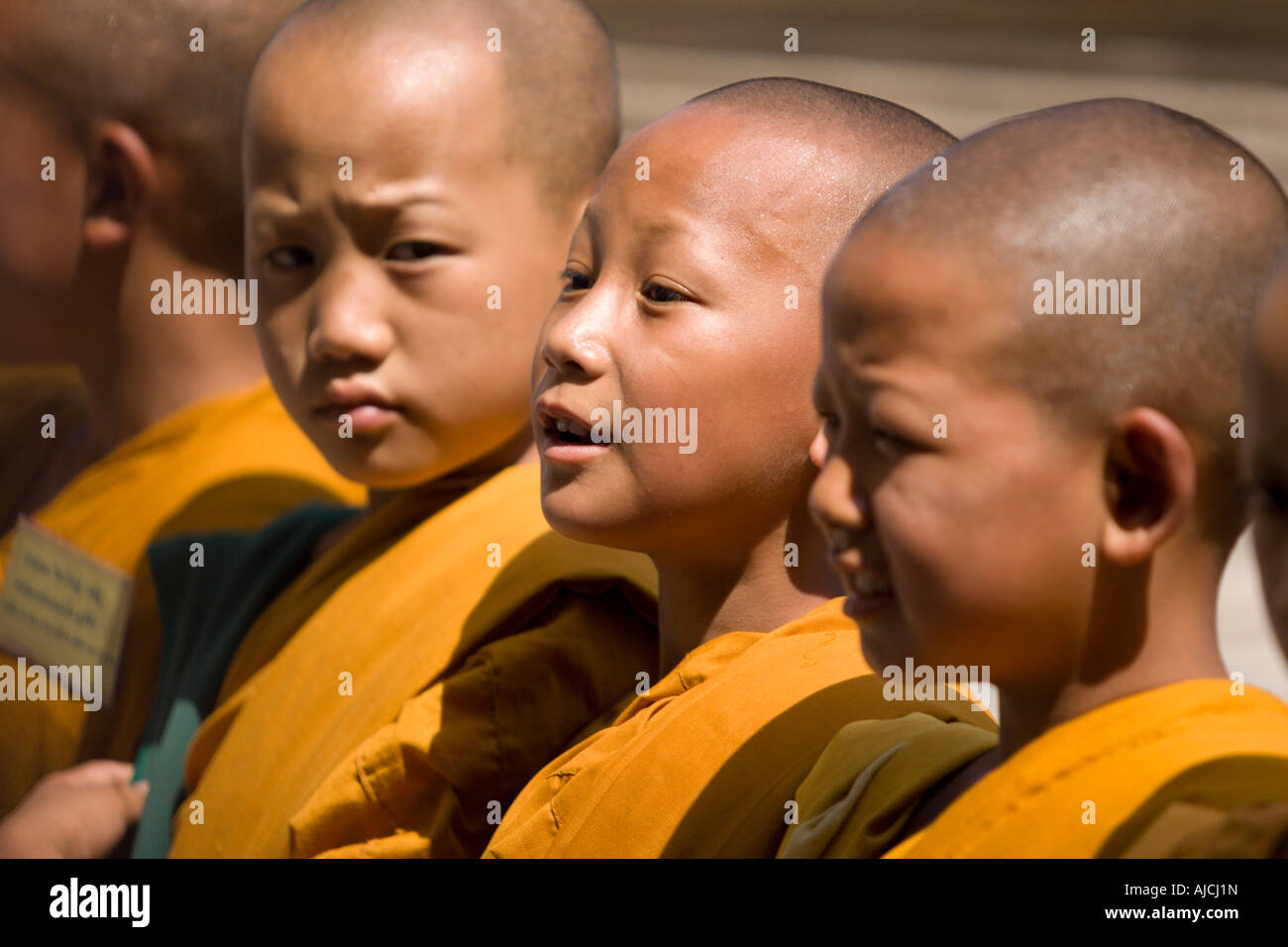 I giovani monaci maschio, Thailandia Foto Stock