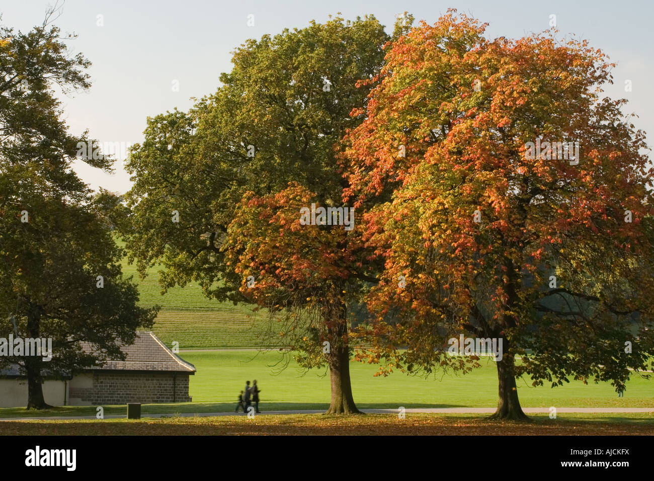 Roundhay Park, Leeds, in autunno Foto Stock