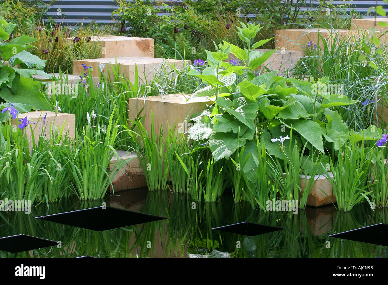 MERRILL LYNCH GARDEN DESIGNER ANDY STORIONE Chelsea Flower Show 2005 Foto Stock