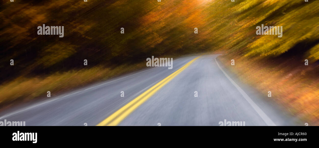 Strada attraverso la caduta delle foglie, New Hampshire, New England, STATI UNITI D'AMERICA Foto Stock