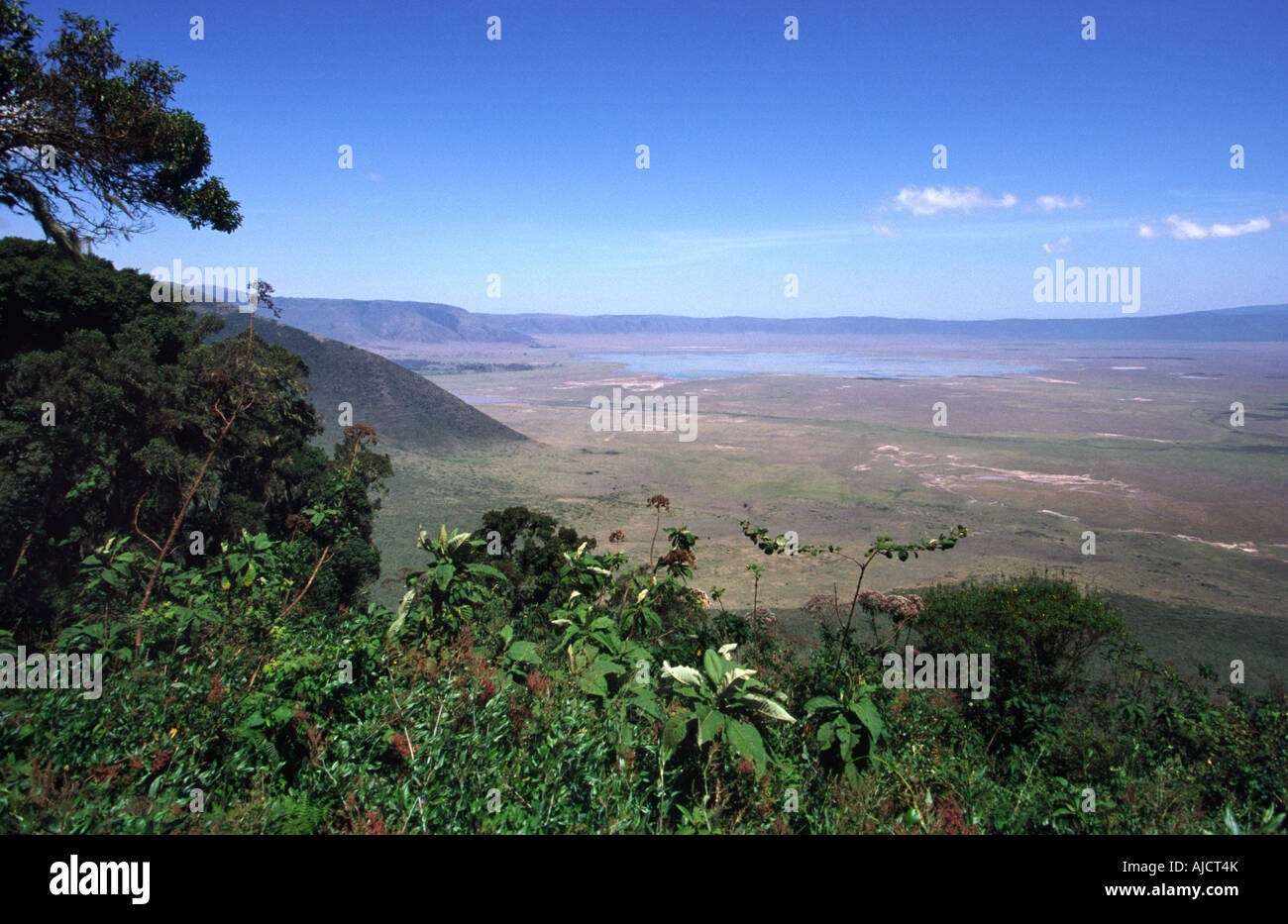 Vista sul cratere Ngorogoro. Tanzania. Foto Stock
