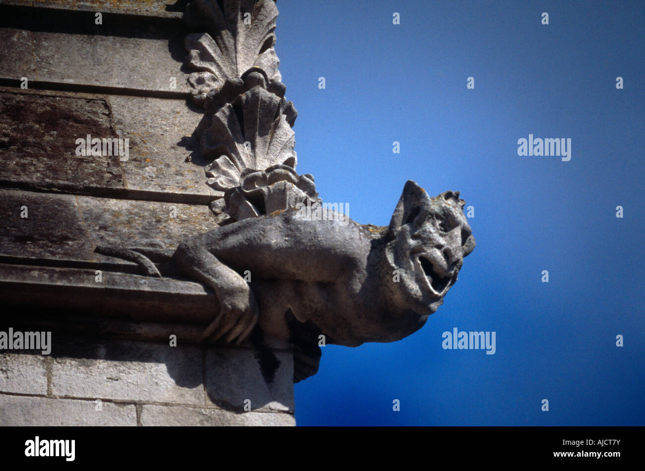 La Cattedrale di Winchester Hampshire Inghilterra Gargoyle sul fronte ovest Foto Stock