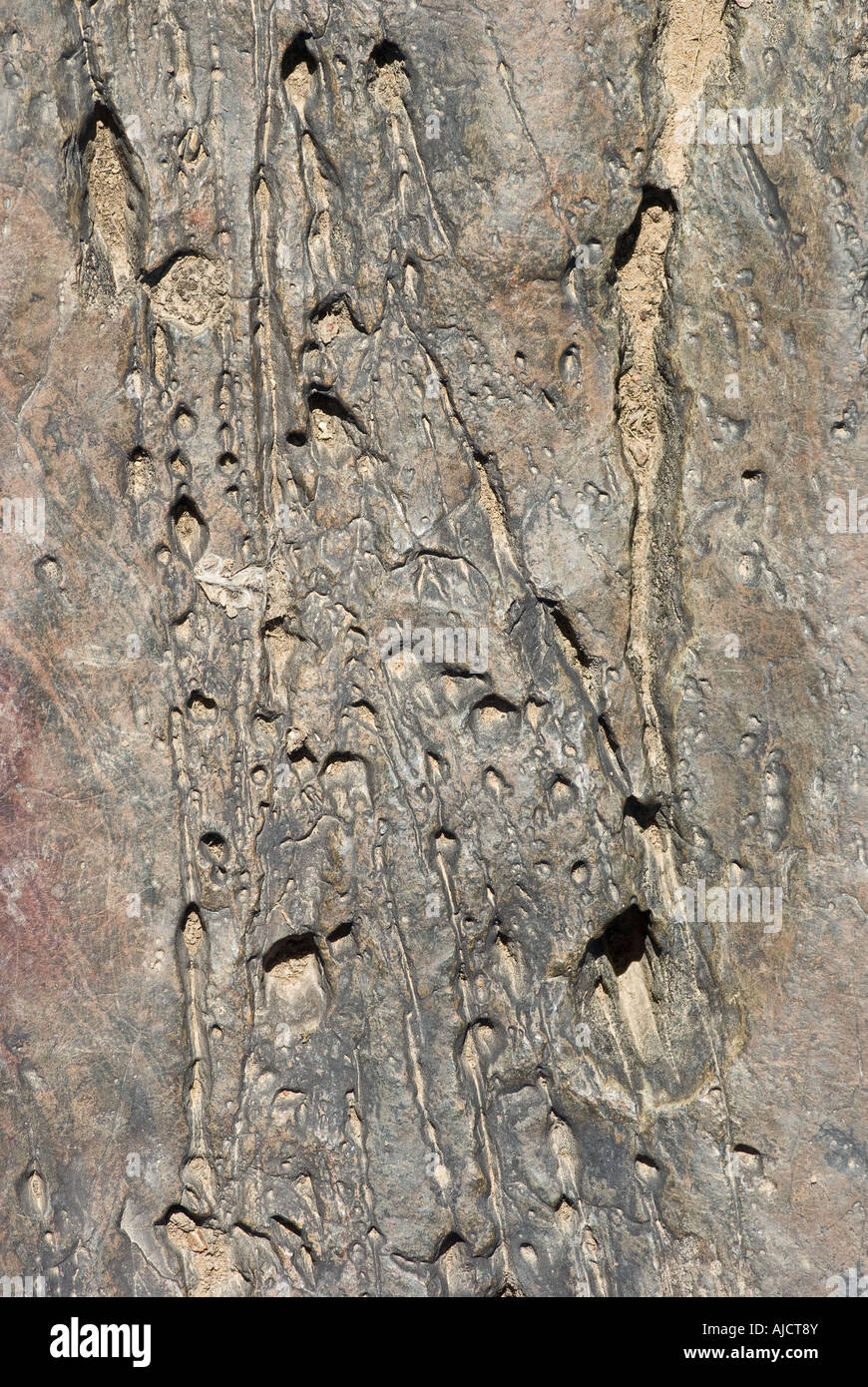 Vecchio usurato e alterate di roccia di granito sullo sfondo Foto Stock