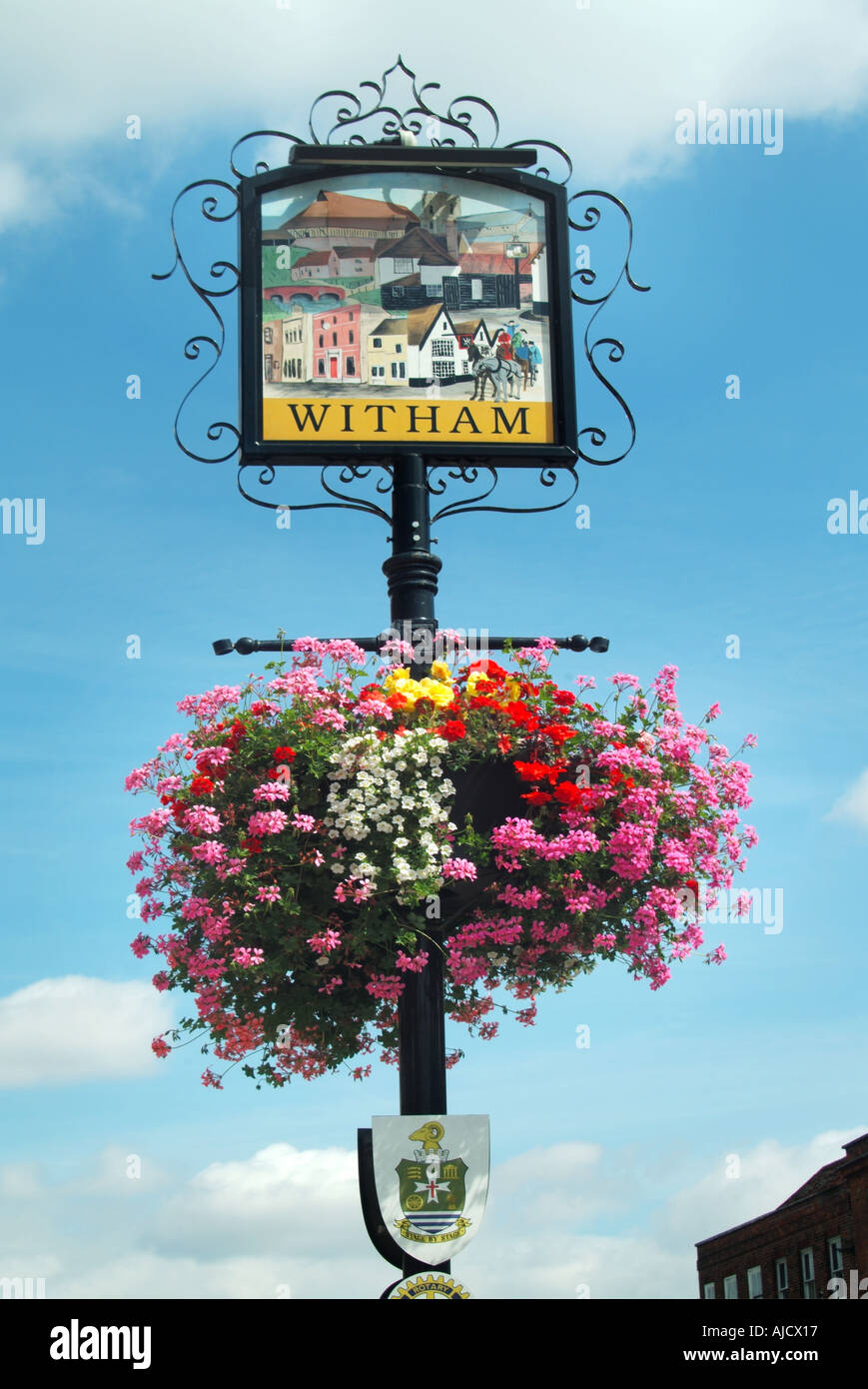 Strada romana città di Witham & segno con edera colorata Gerani fioriti in estate soleggiata appeso cesto fiore mostra Newland Street Essex Inghilterra Regno Unito Foto Stock