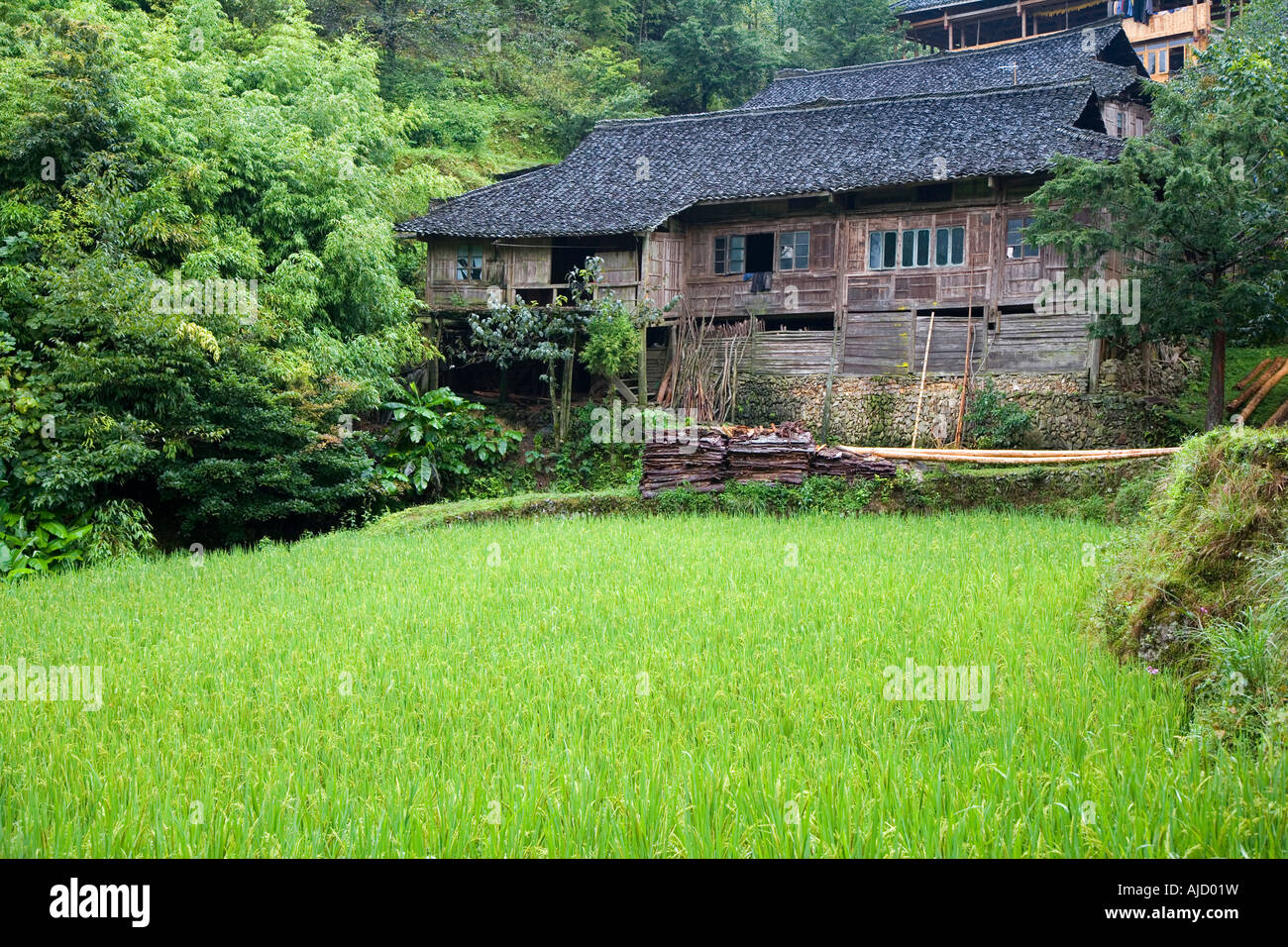 Yao casa di legno nella campagna di Guilin Cina Foto Stock