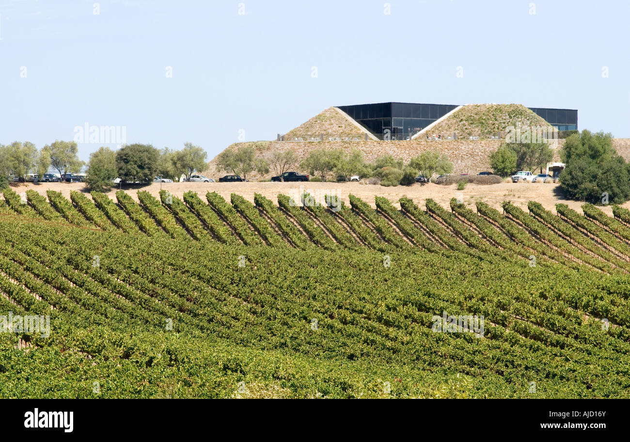 California's Nappa Valley Foto Stock