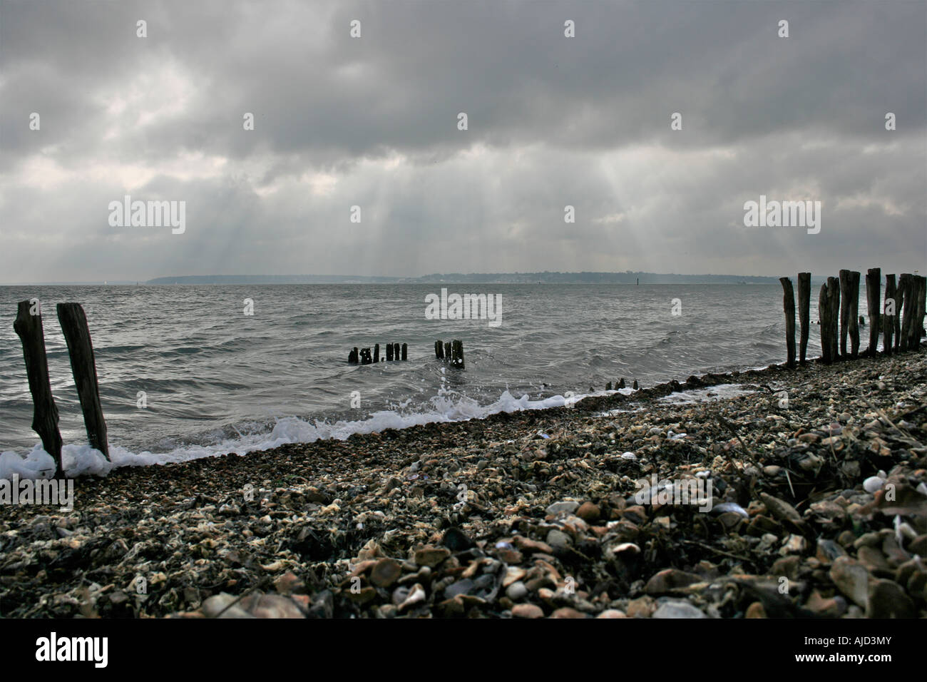 Acqua di Southampton, groyne in legno e la spiaggia di ciottoli insieme contro un imponente cielo a Calshot Spit, Calshot, Hampshire Foto Stock