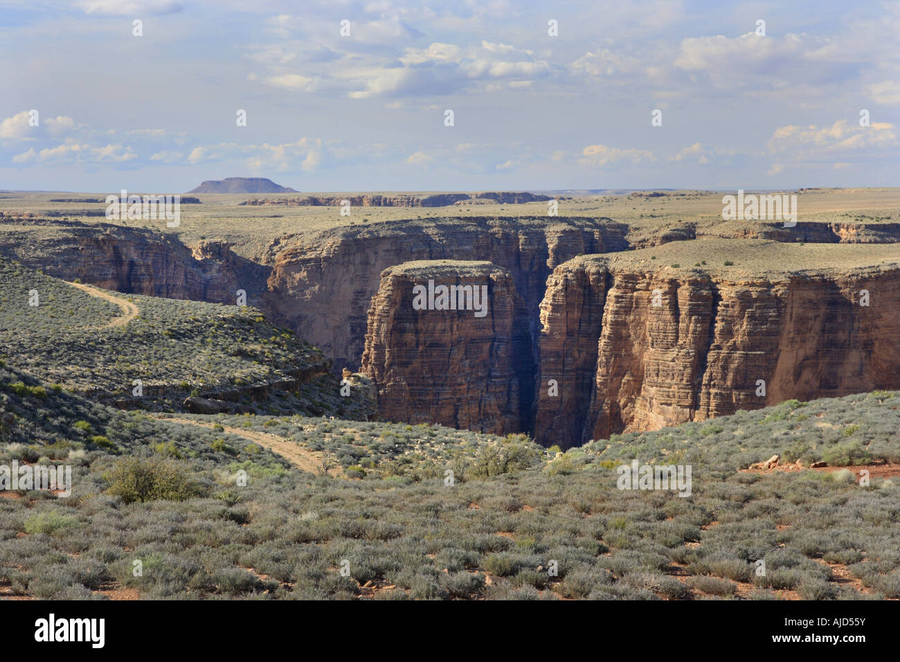 Grand Canyon profondi canyon vicino al parco orientale ingresso, STATI UNITI D'AMERICA, Arizona Foto Stock