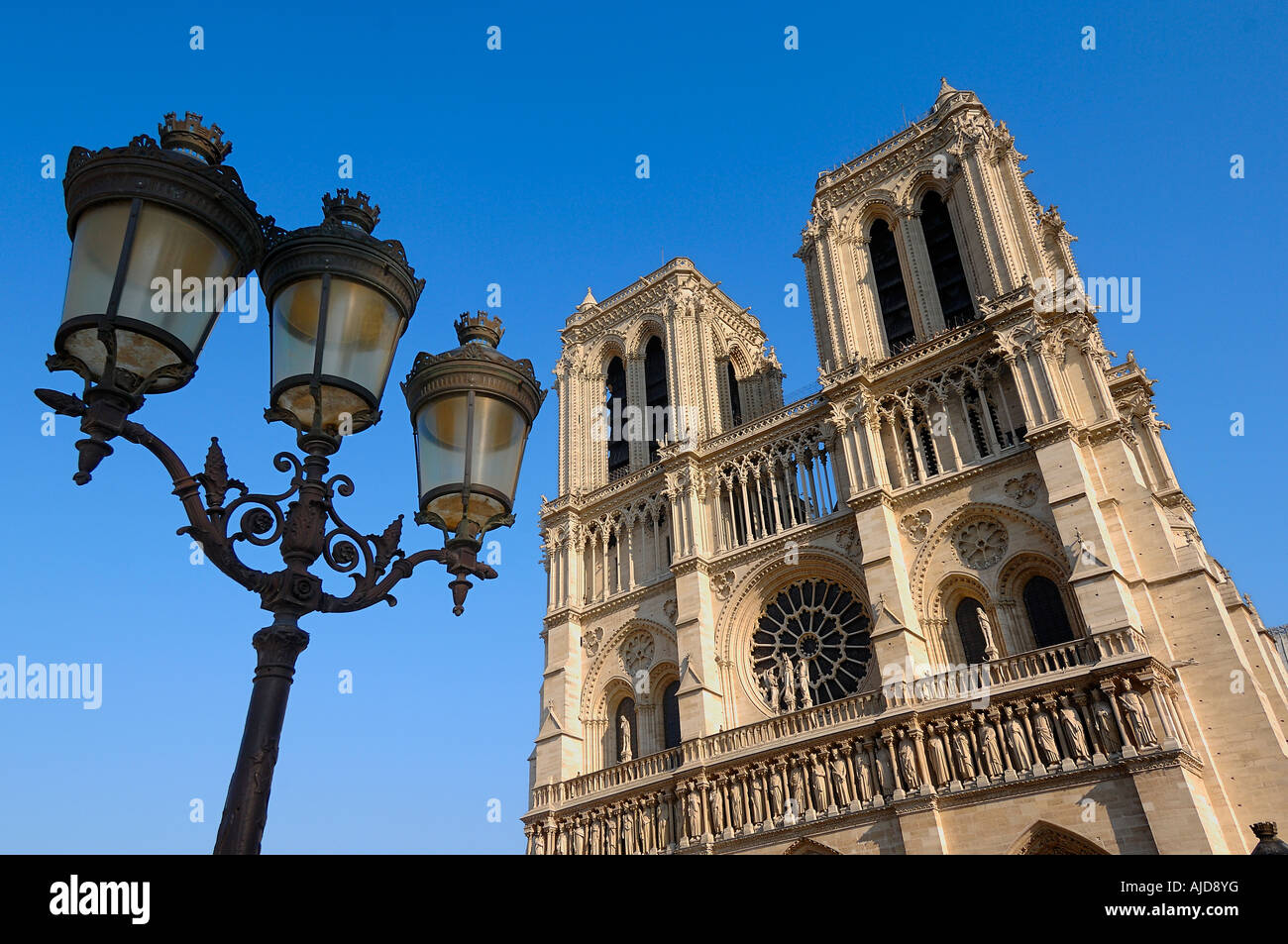 Vista della facciata ovest della cattedrale di Notre Dame con le luci di strada, Parigi, Francia Foto Stock