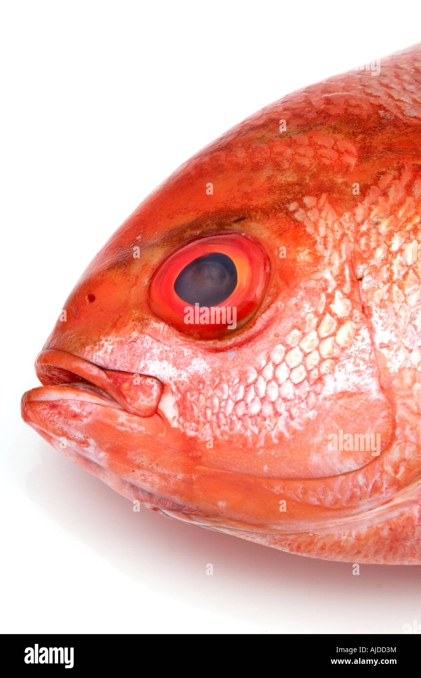 faccia di pesce Foto Stock