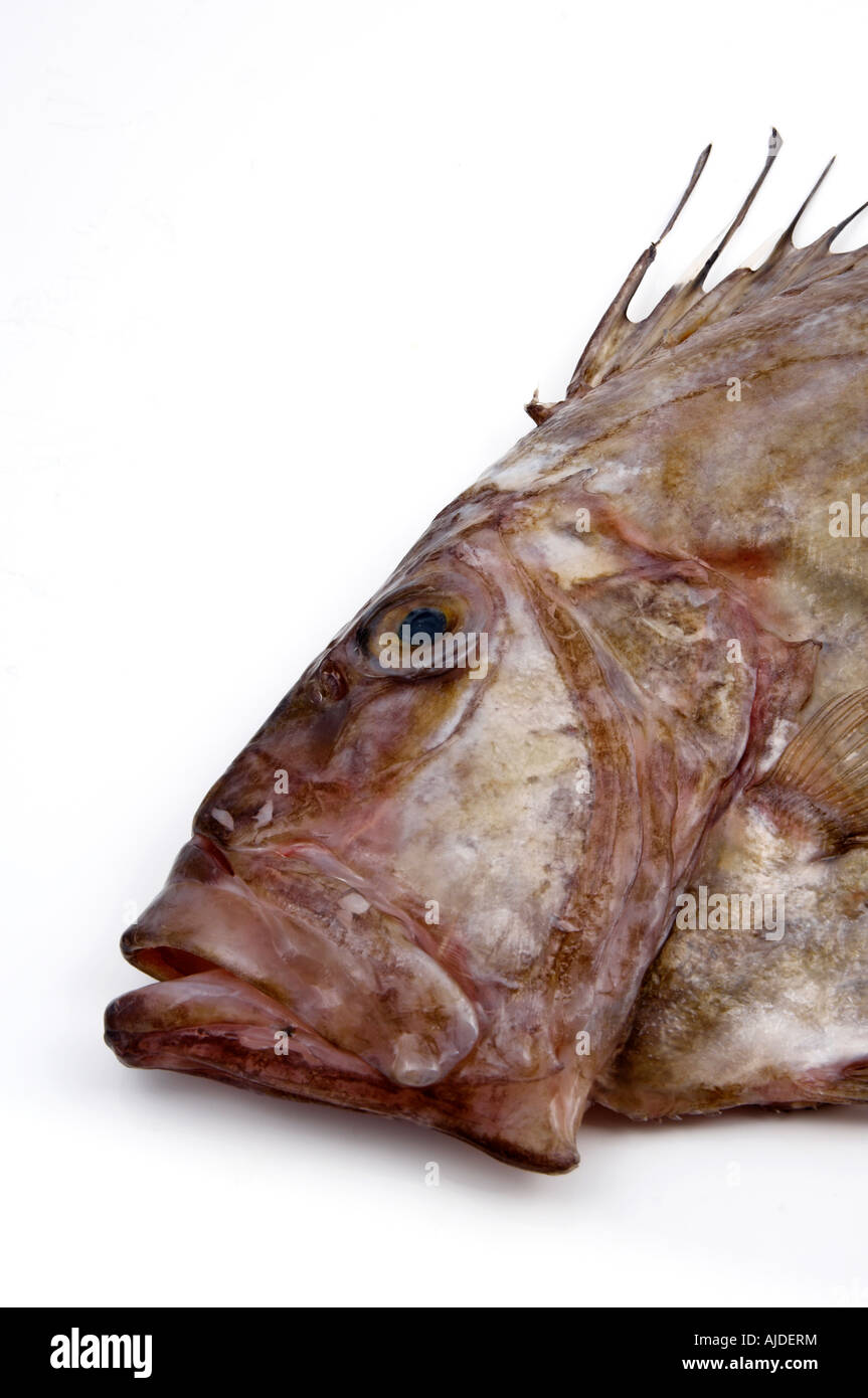 faccia di pesce Foto Stock