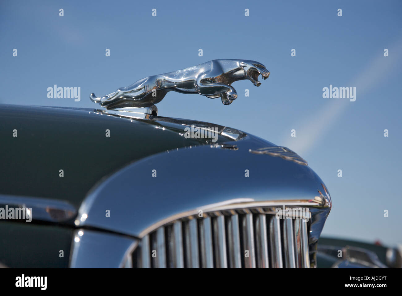 Grill e il logo di vintage Jaguar Foto Stock