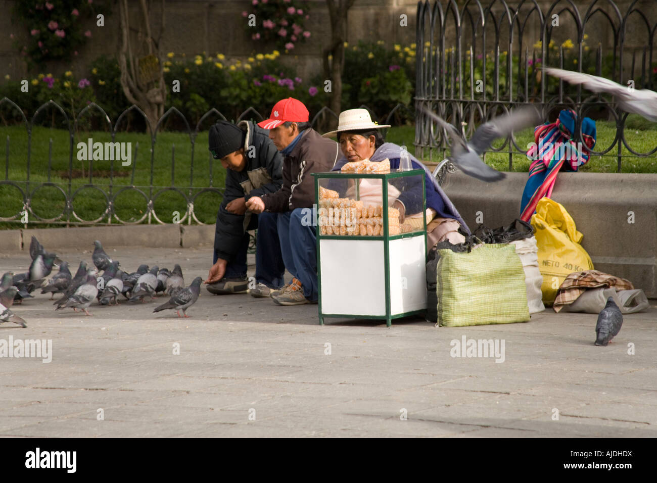 Uccello venditore di sementi in Plaza Murillo, La Paz, Bolivia Foto Stock