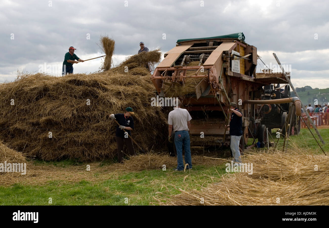 Macchina Thresing al 2007 Grande Dorset Fiera vapore Blandford Forum Dorset Inghilterra Foto Stock