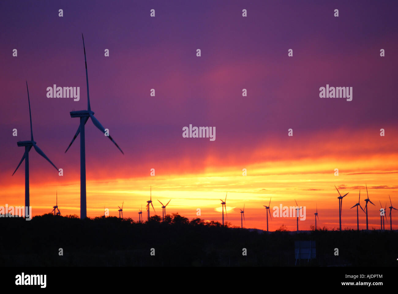 Centrale eolica, bassa Austria, Repubblica d'Austria Foto Stock