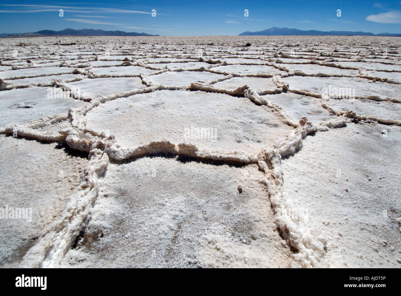 Salinas Grandes in alta Puna, provincia di Jujuy, Argentina, Sud America Foto Stock