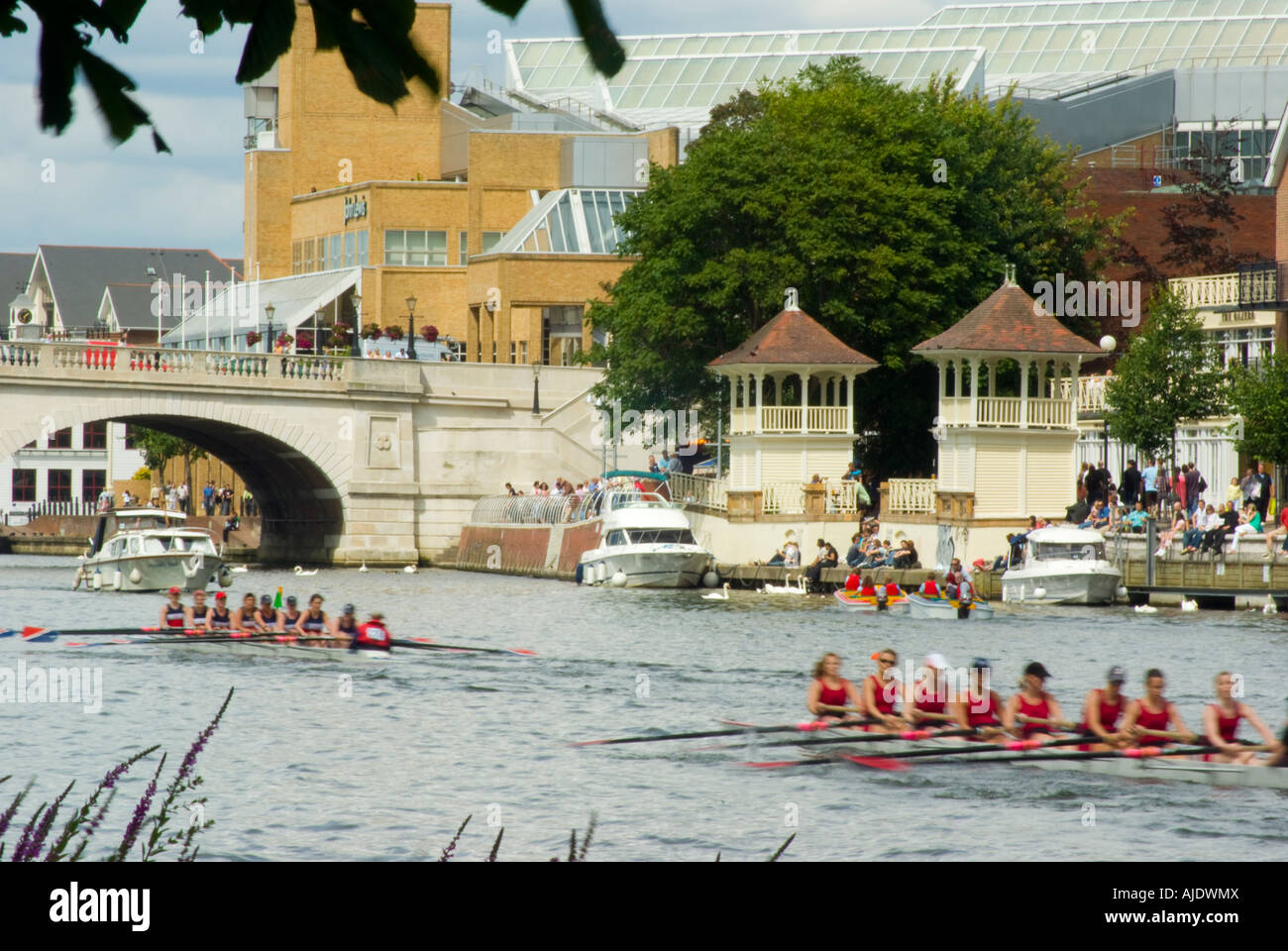 Kingston upon Thames regatta - due womens' ottavi di avvicinamento al Kingston Bridge Foto Stock