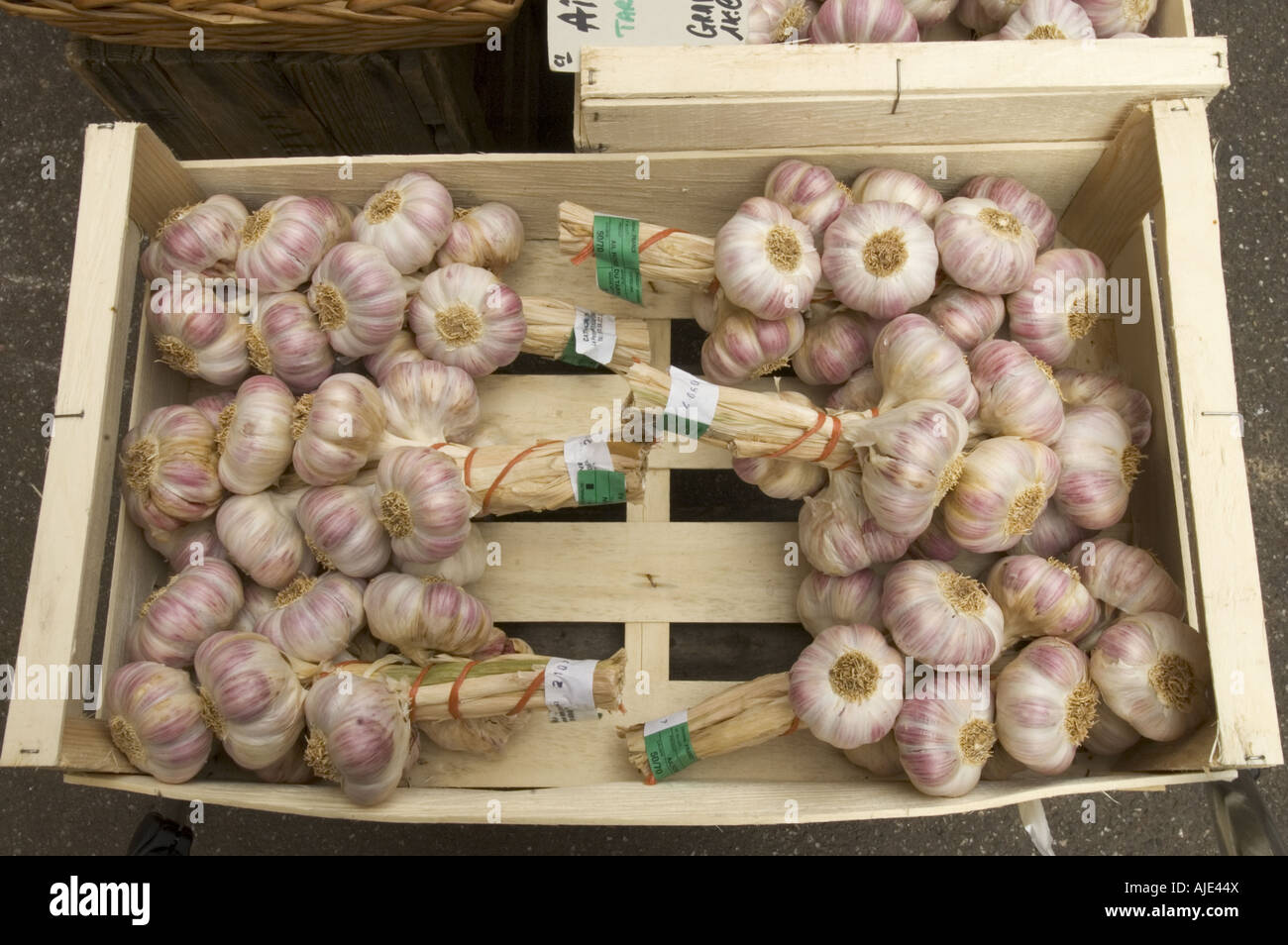Stringhe di bulbi di aglio per la vendita in Ribeauville, Alsace Francia. Foto Stock