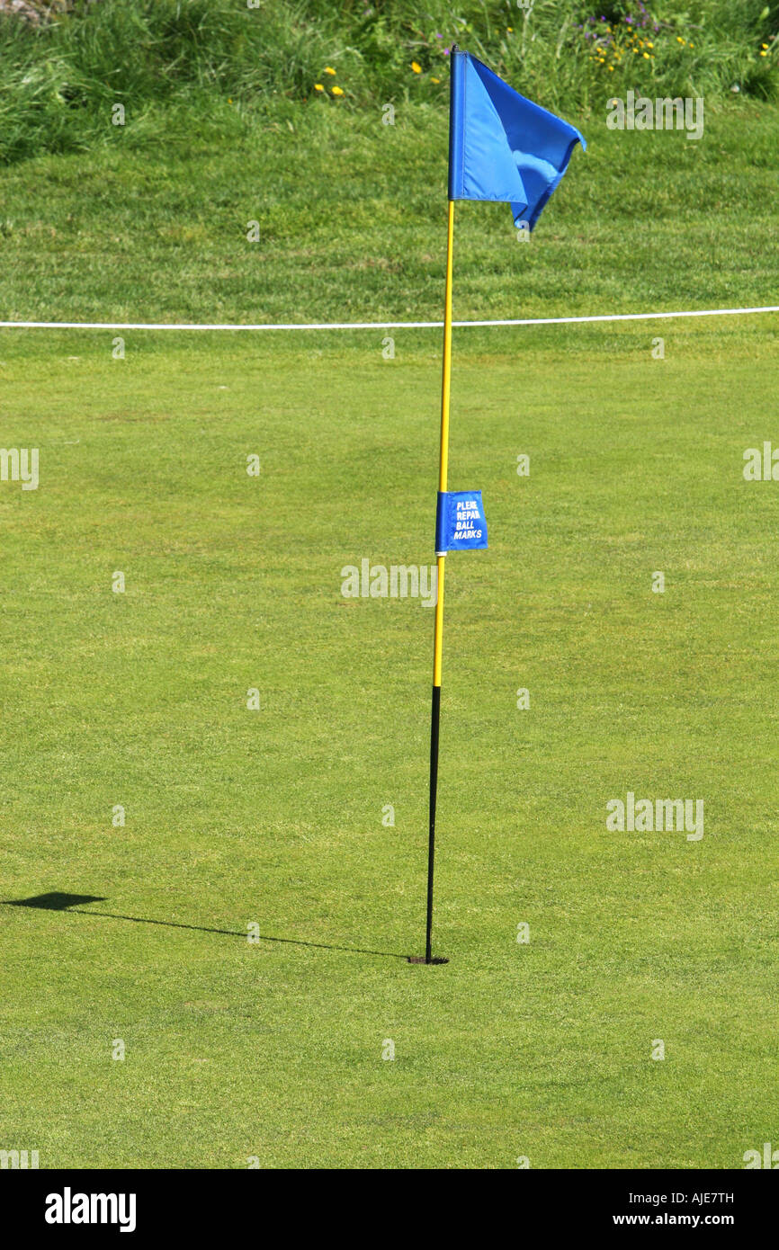 Un campo da golf blue flag in un foro sul verde su un campo da golf Foto Stock